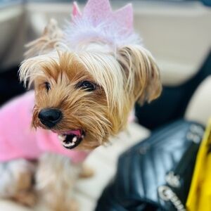 Meet your Posher, Arlisha